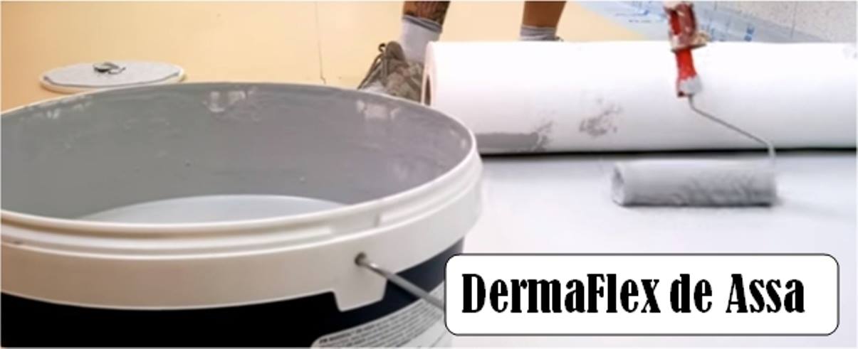 Referencia de DermaFlex publicada por ASSA